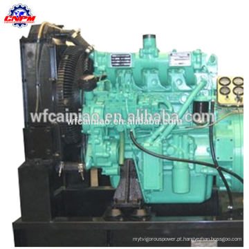 motor a diesel weifang ricardo 4100